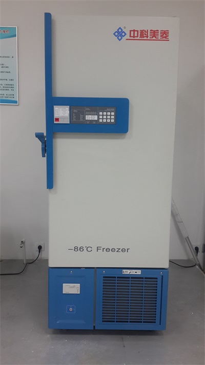 Temperatura ultra baja Caja de almacenamiento congelado