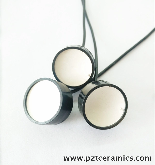 Transductor ultras&oacute;nico enfocado-3